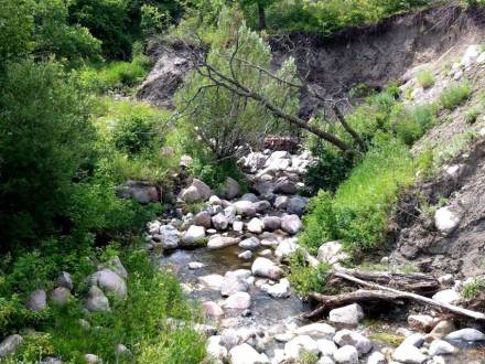 Parc provincial de la vallée de Pembina