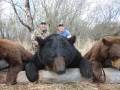 Un autre ours noir de Booner