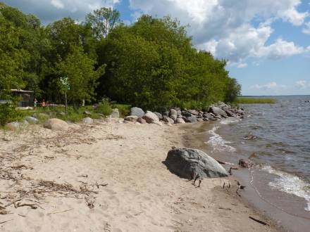 Parc provincial de Birch Point