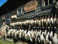 La première destination de chasse à la sauvagine au Manitoba Birdtail Waterfowl Inc.