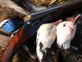 Pourvoyeur pour la chasse à la sauvagine au Manitoba