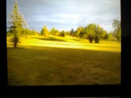 Black Bear Golf Club