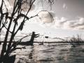 Chasse aux canards au Manitoba