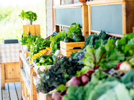 Marché de FortWhyte Farms