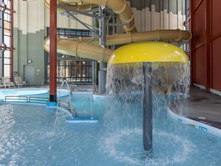Piscines familiales