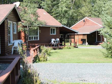 Tallpine Lodges