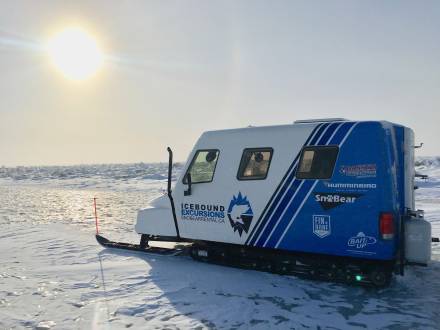 SnoBear | Excursions dans les glaces