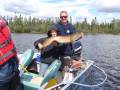 Grand brochet