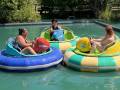 Bateaux tamponneurs