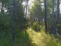 Cabanes de Crooked Mountain