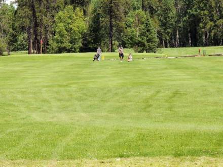 Thompson Golf