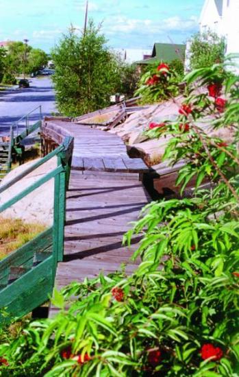 Allée en bois de Flin Flon avec des plantes luxuriantes, évoquant l'élégance estivale et son potentiel.