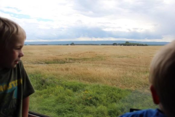 Les enfants regardent la vaste prairie de Churchill, s'imprégnant de l'étendue du paysage dans un cadre extérieur serein.