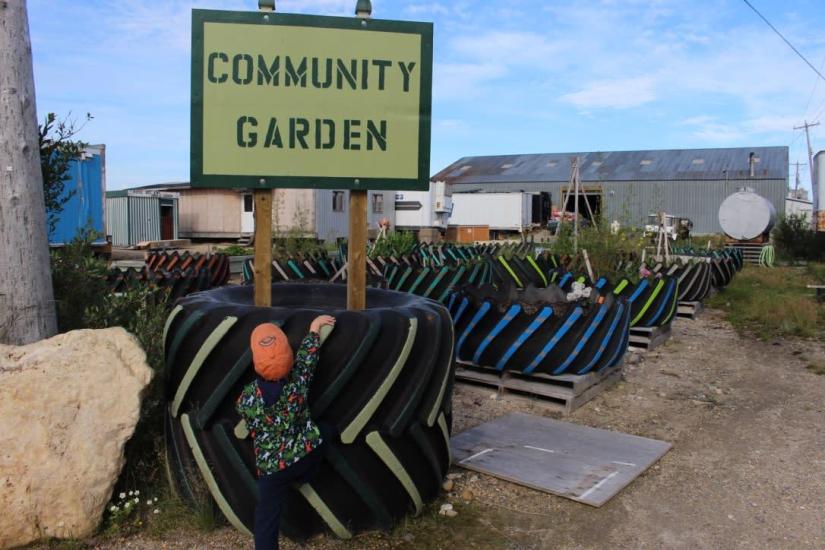 Jardin communautaire à Churchill présentant des plantes colorées cultivées dans des pneus réutilisés, mettant en valeur les pratiques de jardinage durable.