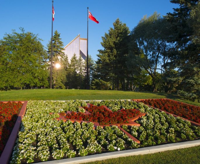 Jardin de feuilles d'érable à la Monnaie de Winnipeg