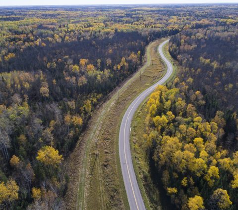 Vue aérienne d'une route sinueuse à travers des arbres jaunes et verts, le long de la rive d'un lac.