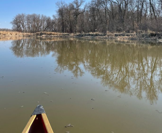 Proue d'un canoë sur la rivière Cooks