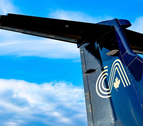 Gros plan sur le logo Calm Air sur la queue d'un avion.