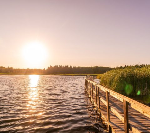 Coucher de soleil sur la promenade du sentier du marais Ominik au Manitoba, Canada