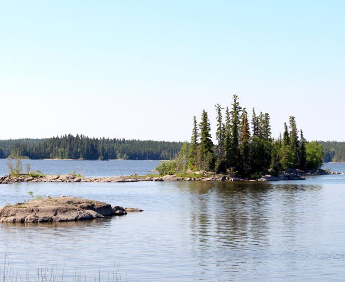 Vue de petites îles rocheuses couvertes d'arbres dans le lac Paint.